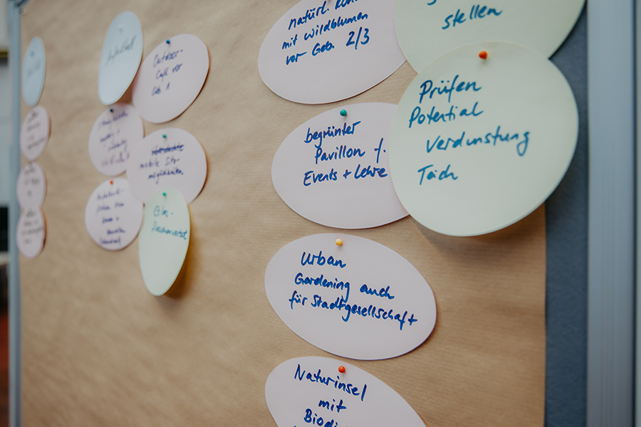 Mehrere Zettel an einer Pinnwand beim World Café zum Thema Campusgestaltung; auf den Zetteln steht unter anderem Urban Gardening, begrünter Pavillion oder Naturinsel (c) Anna Friese Uni Magdeburg